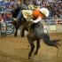 UT Martin Menâ€™s Rodeo Picks Up First Season Victory In Spring Opener At EMCC